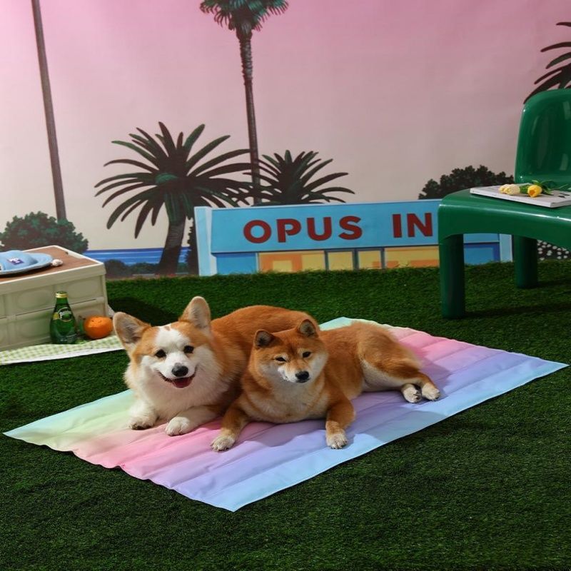 🐾【夏用ひんやりペットマット】全サイズ対応 アイスシルククールマット|犬猫兼用 スリーピングパッド・涼感マット