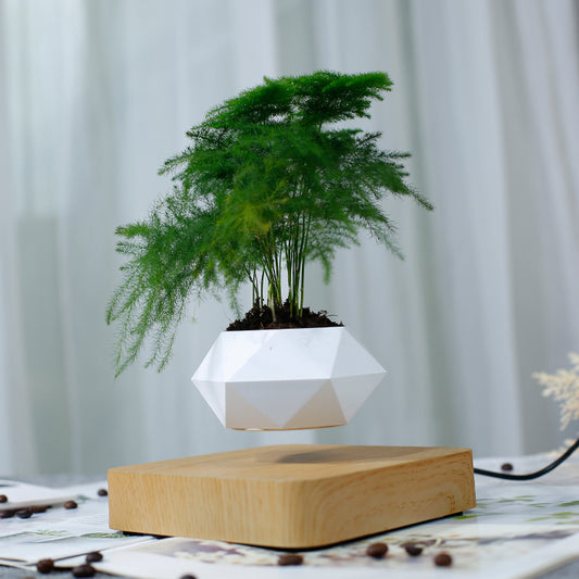 磁気浮上植物ポット — 大切な人を驚かせるクリエイティブなギフト＆インテリア